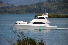 Tides Reach Whitianga, Whitianga